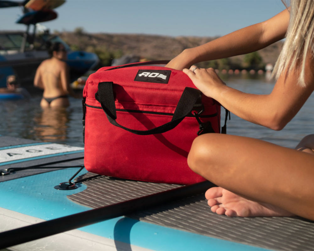 Holiday Gifts Under $250